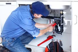 Best Garbage Disposal Repair and Installation  in Meadview, AZ